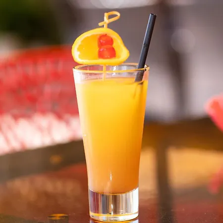 Dolphin Beach-делфин бийч ホテル ラヴダ